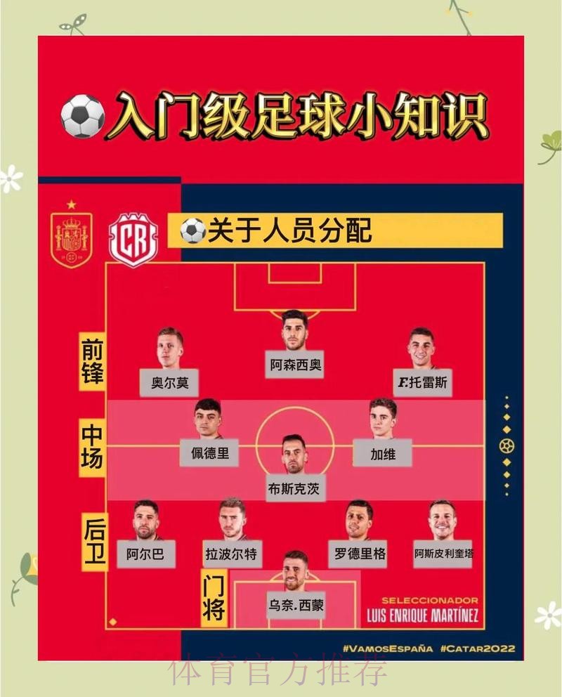 全面解析世界杯体育平台选择指南 全面解析世界杯体育平台选择指南